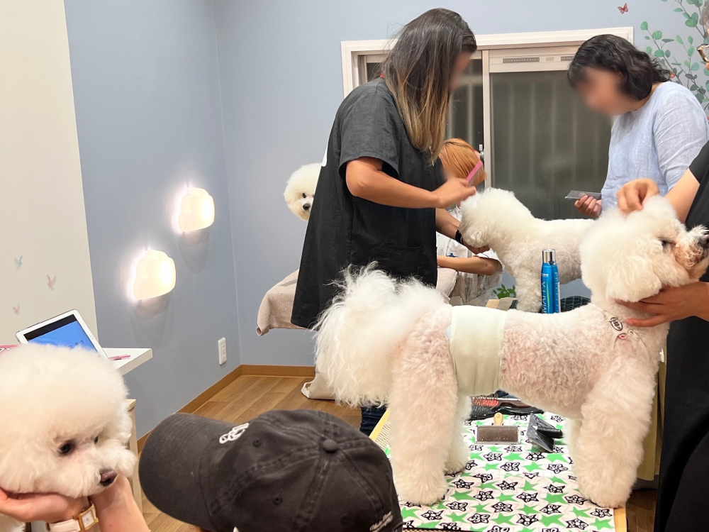 ランランルーム&テラス