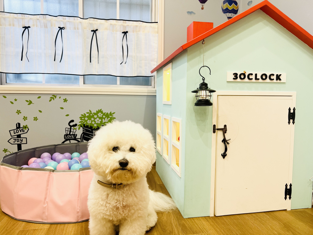 ランランルーム&テラス