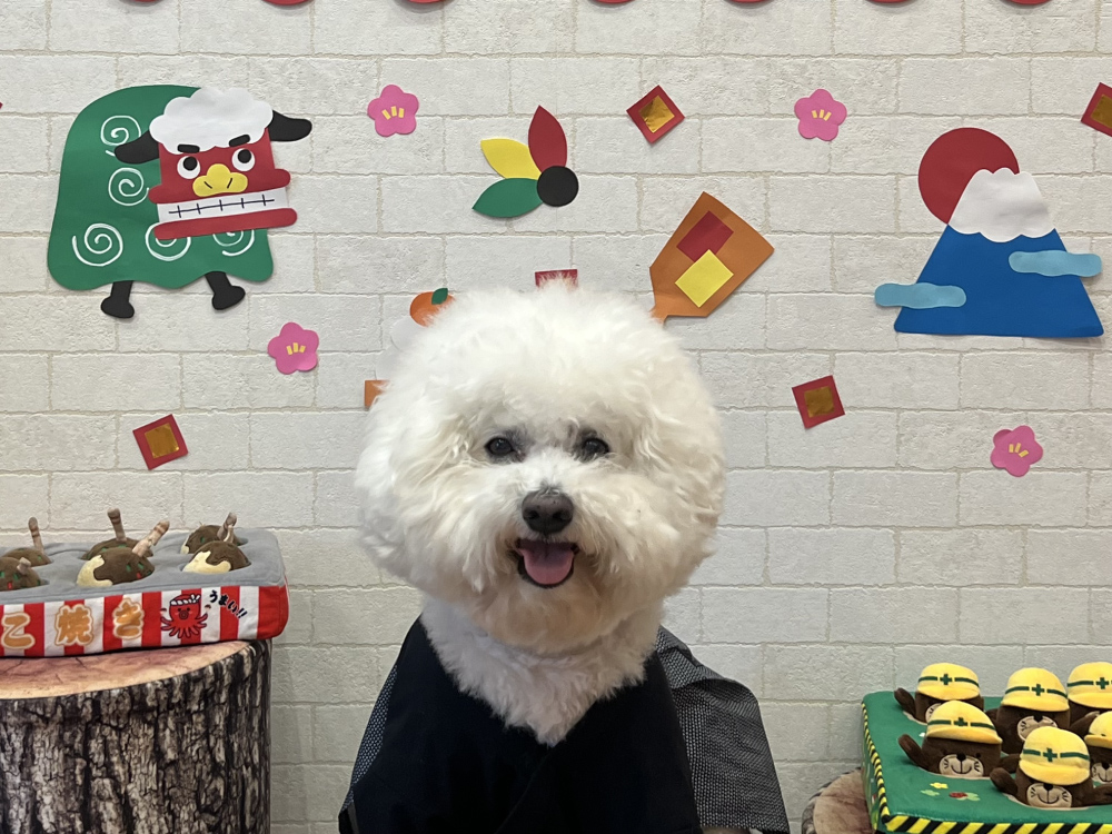 ランランルーム&テラス