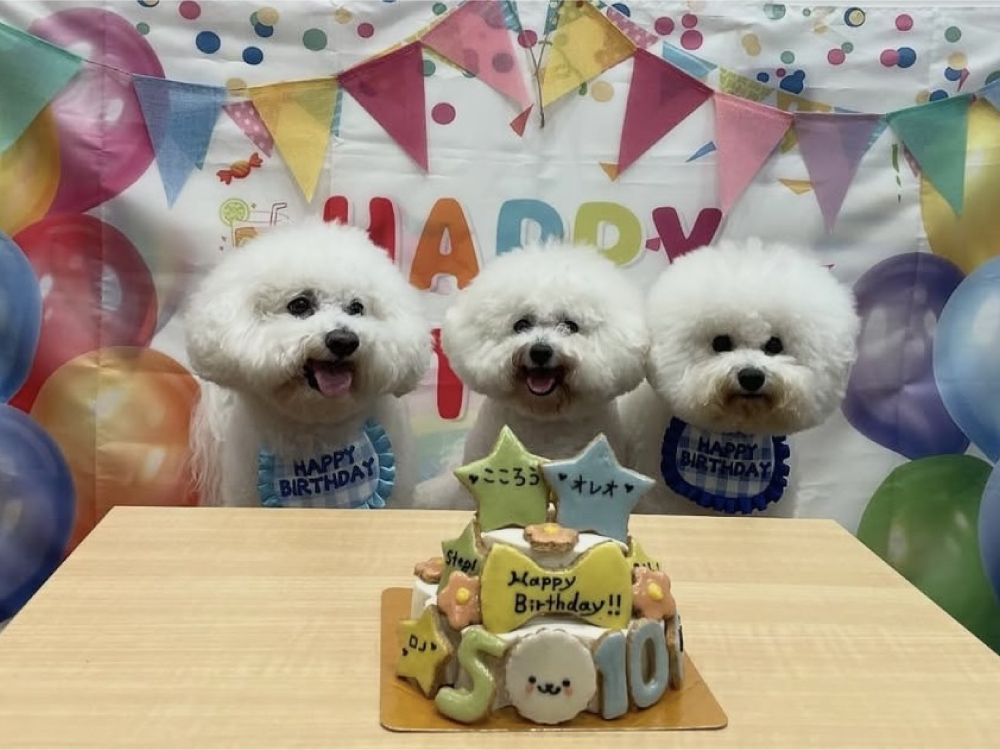 ランランルーム&テラス