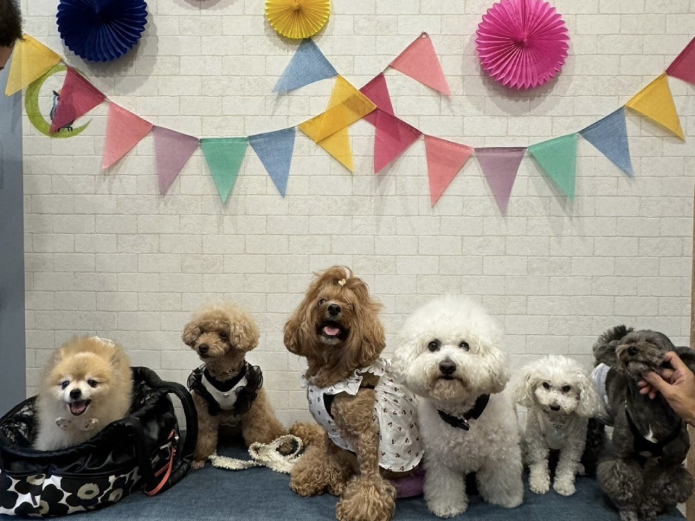 ランランルーム&テラス