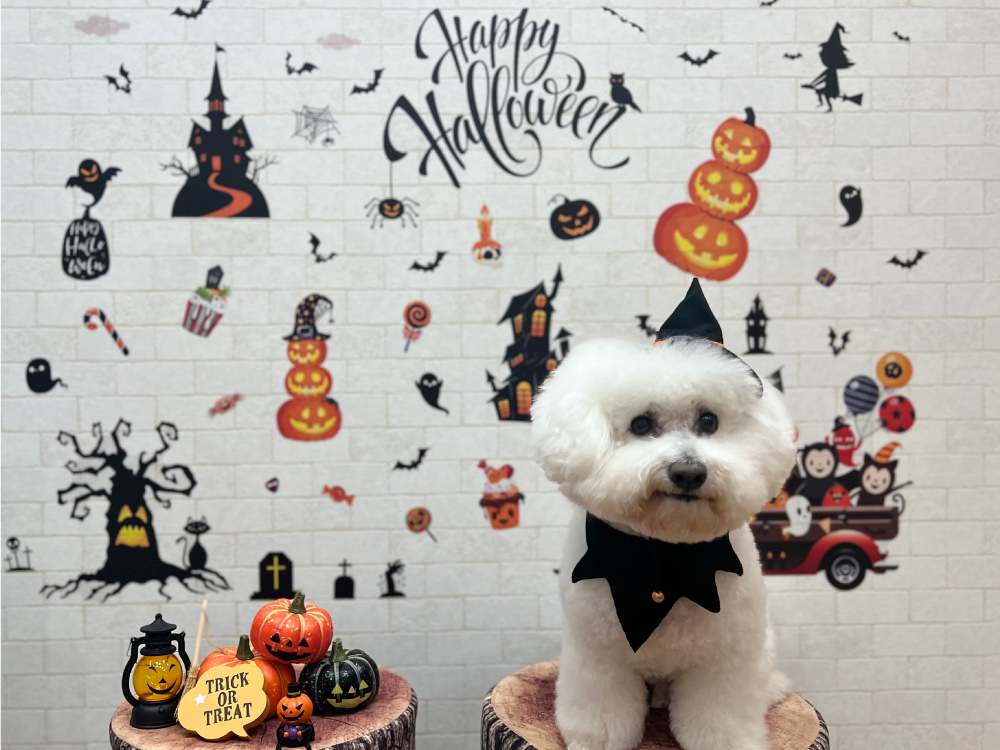 ランランルーム&テラス