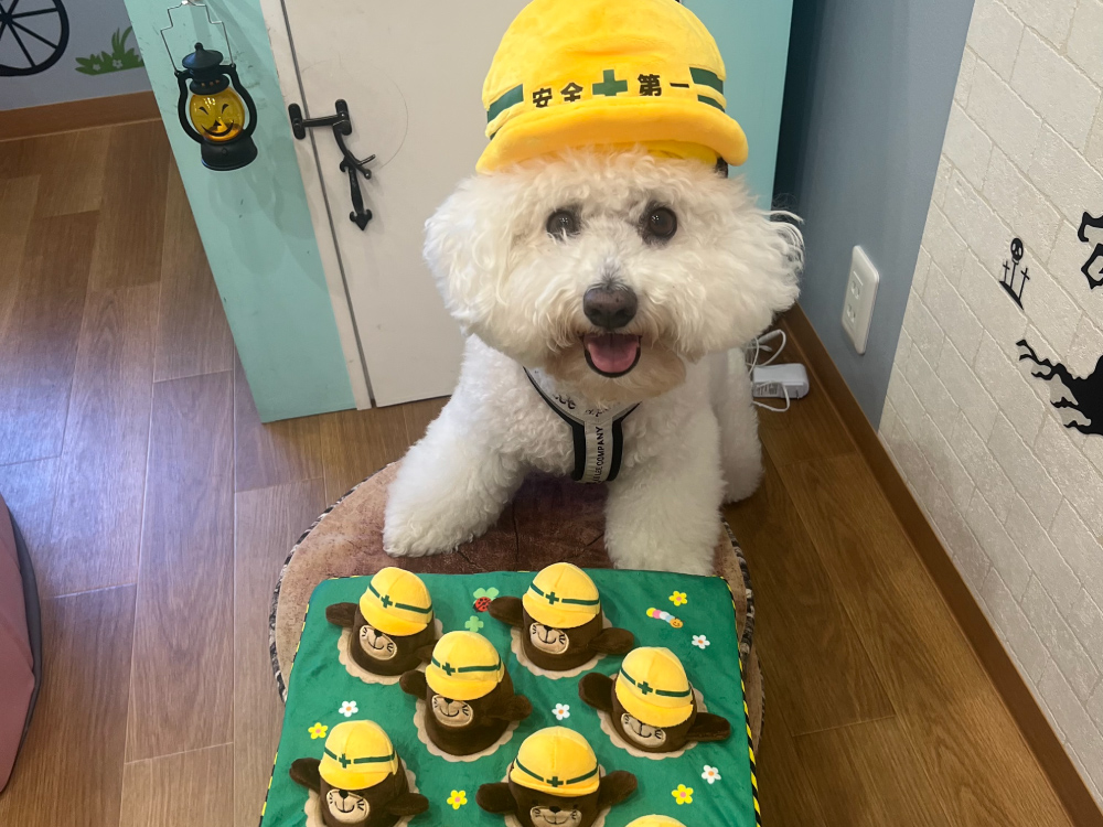 ランランルーム&テラス