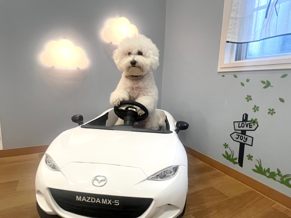 ランランルーム&テラス