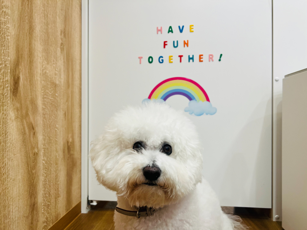 ランランルーム&テラス