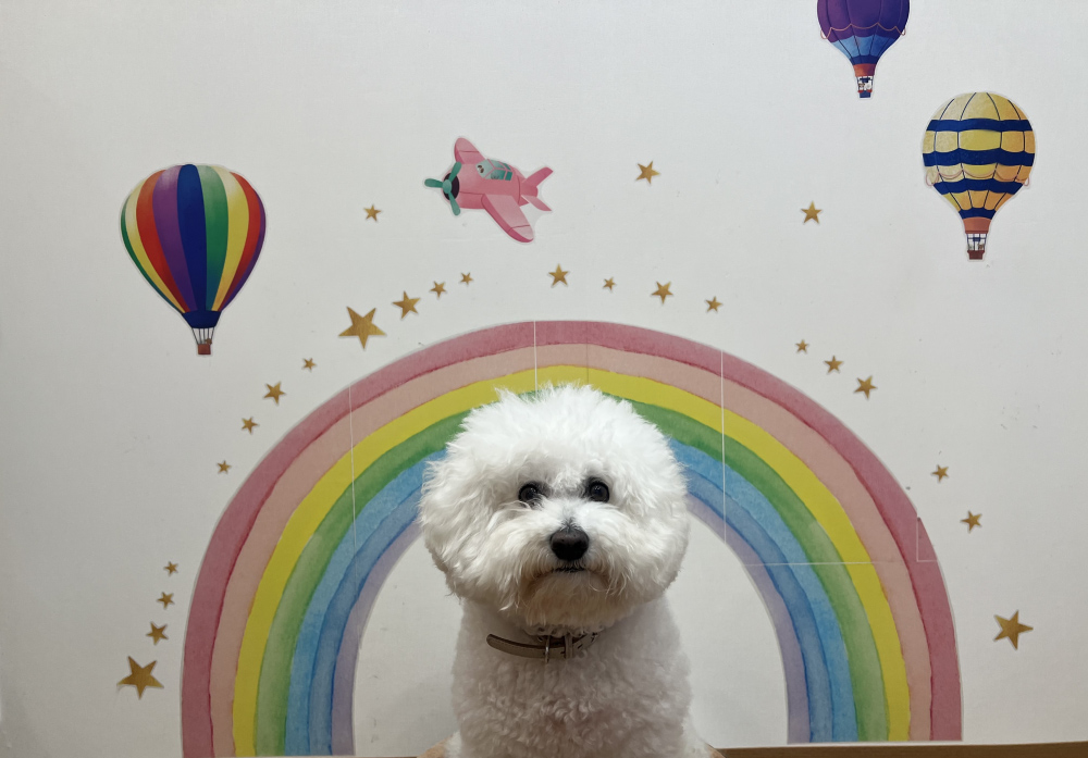 ランランルーム&テラス